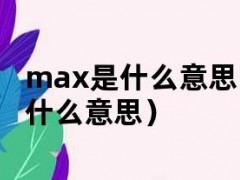 max是什么意思（vo2max是什么意思）